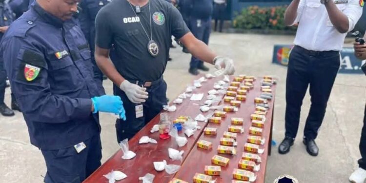 Cocaïne dissimulée dans du thé : deux suspects interpellés en Guinée