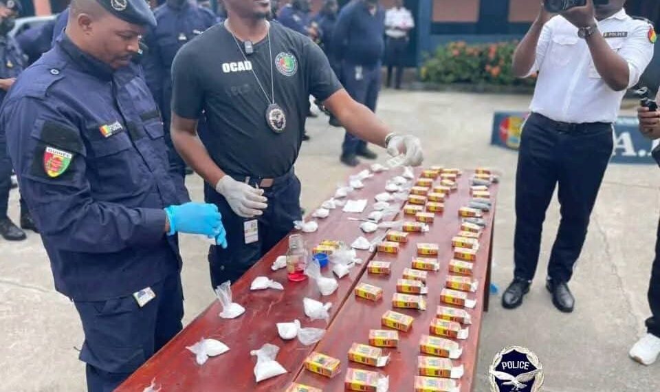 Cocaïne dissimulée dans du thé : deux suspects interpellés en Guinée